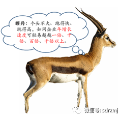 山東瑞祥試塊